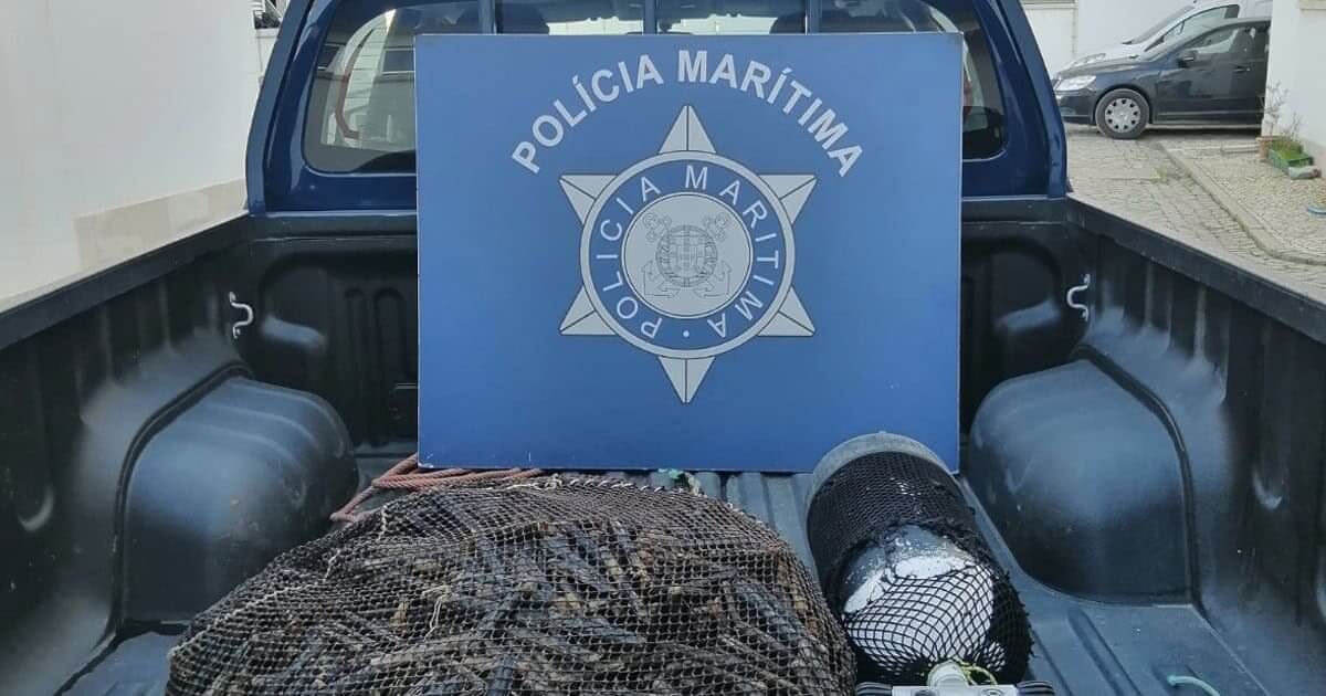 lingueirão apreendido