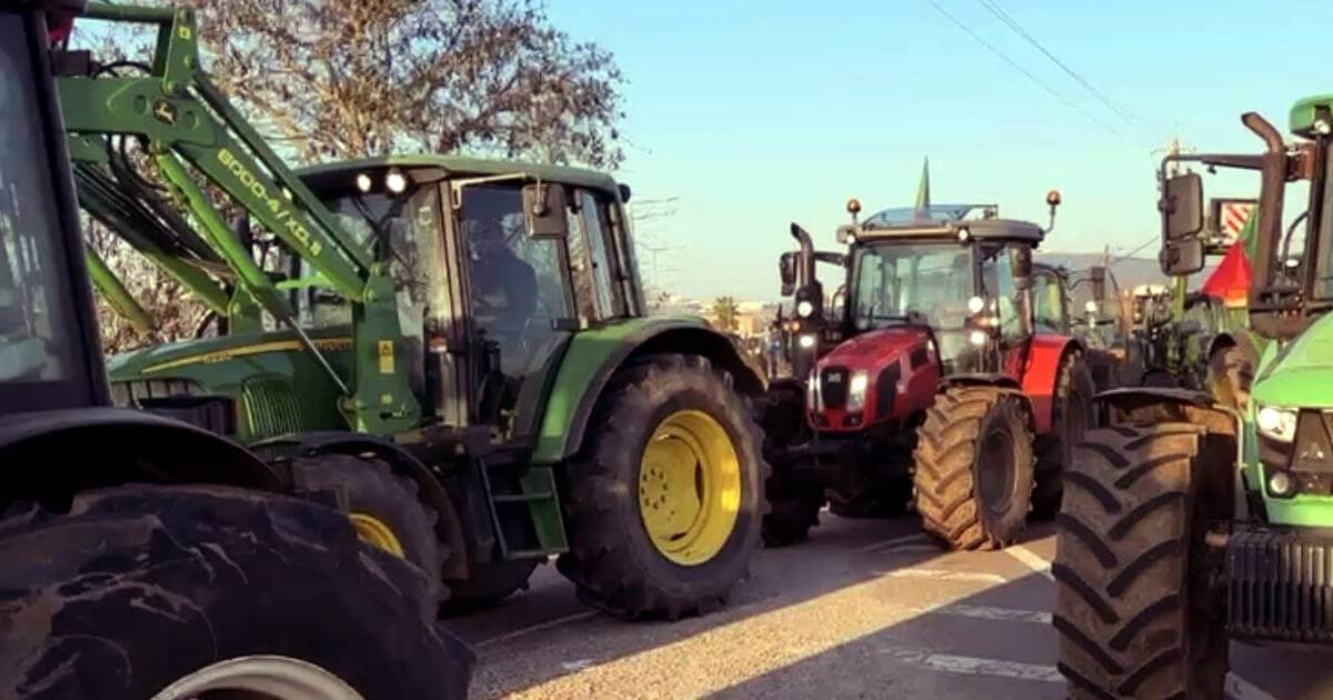 Tratores alinhados em estrada rural.