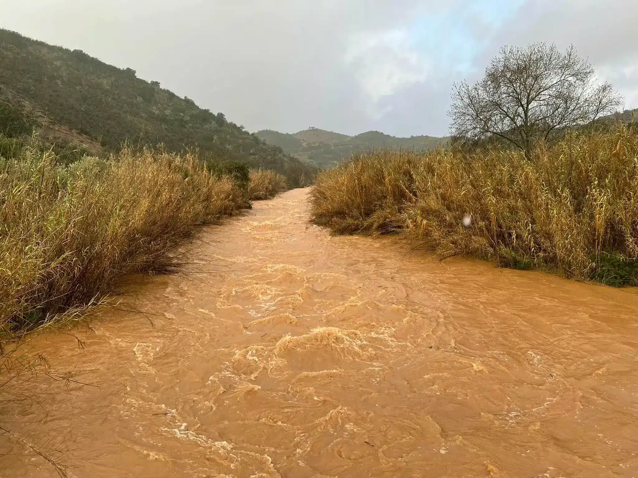 Ribeira do Curral do Telhhado, Freguesia de Vaqueiros