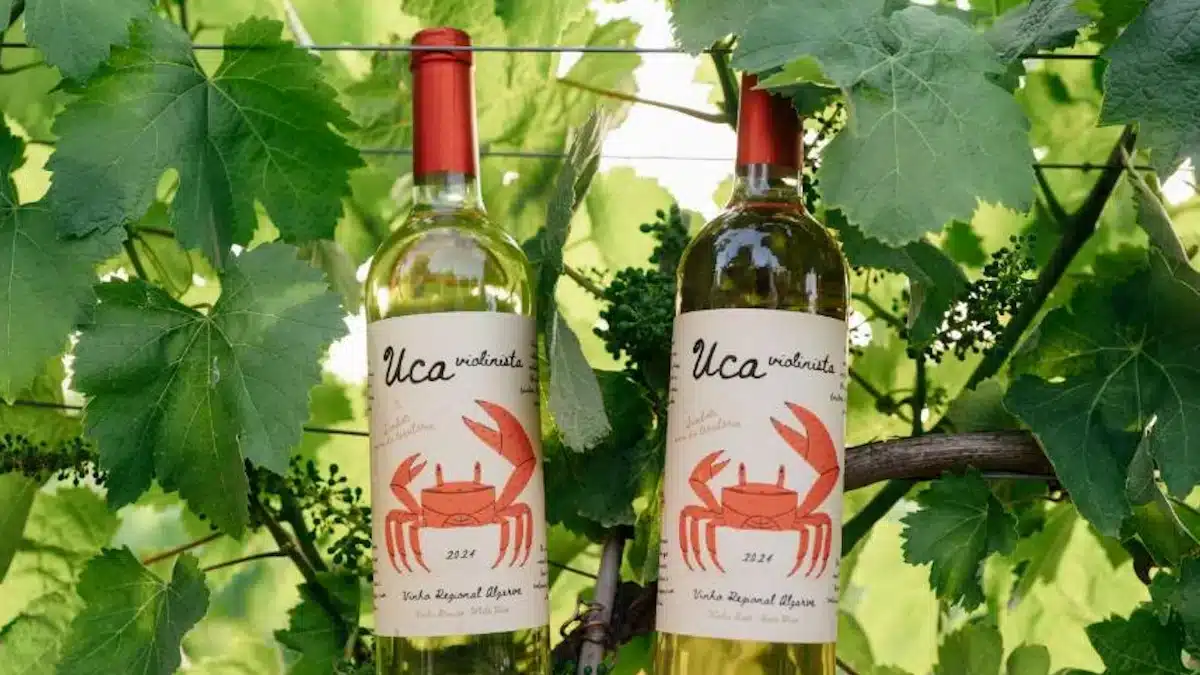 Caranguejo violinista