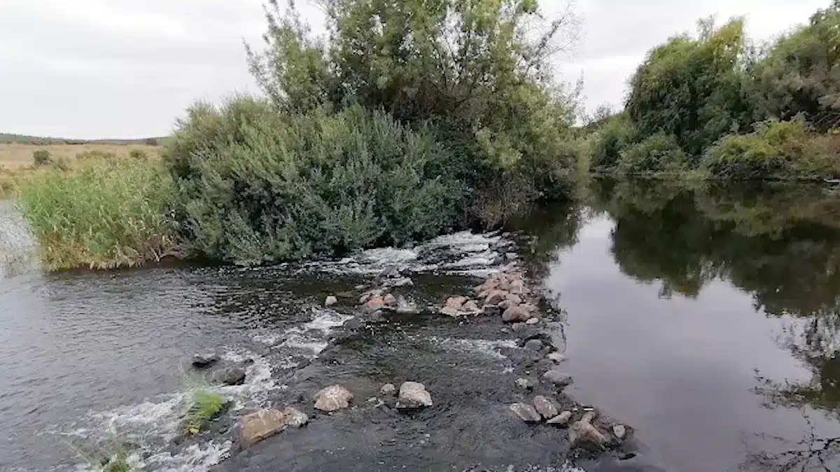 Moinho da Amendoeira