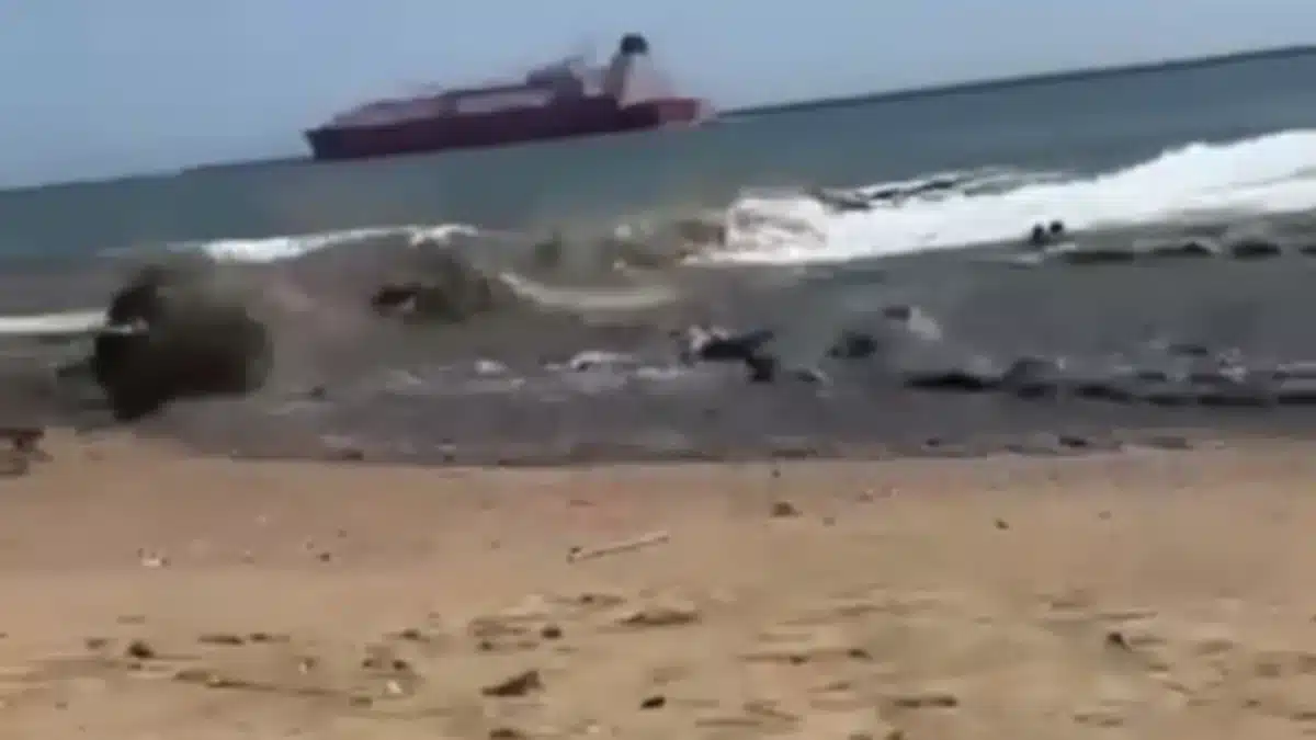 Onda negra - Mazagão