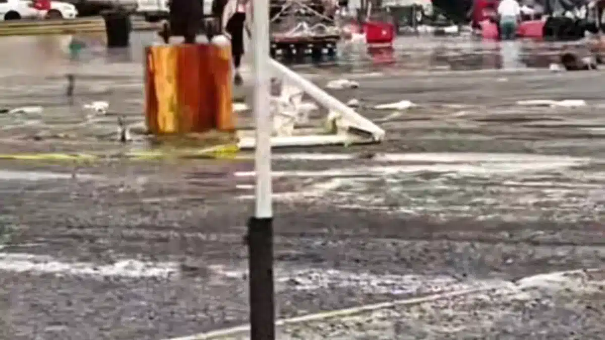 teas-tragedia, Facebook