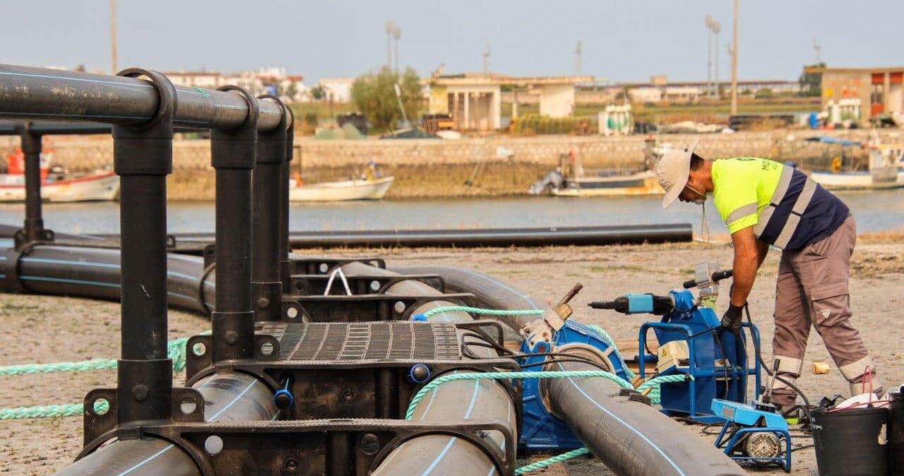 Visita Seaculture_VRSA (5)