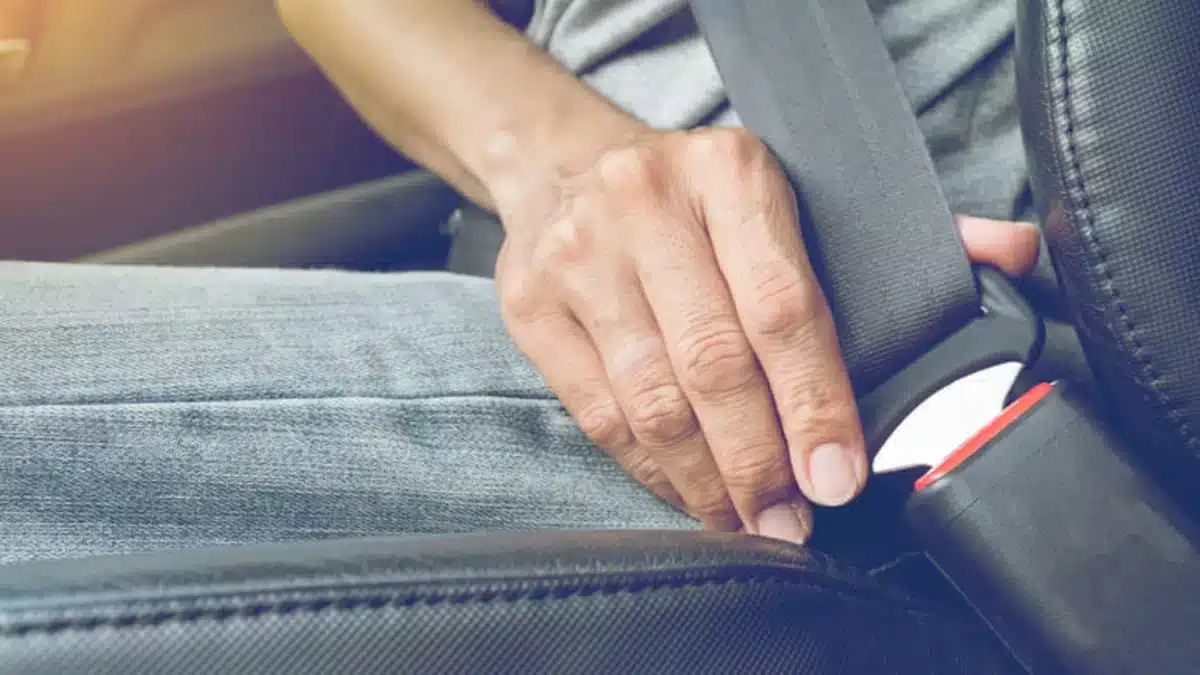 cinto-de-segurança - Copilot