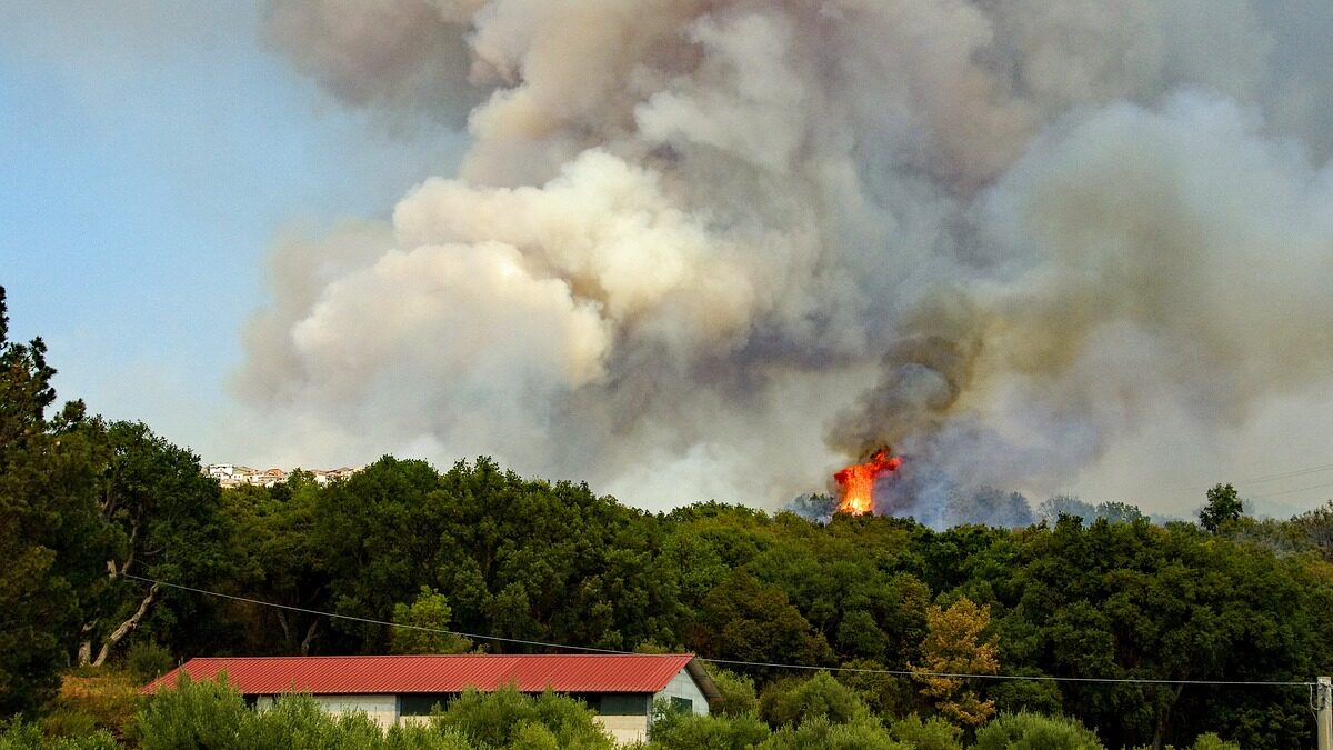 fire, flames, summer, flush, blaze, stake, nature, the forest fire, forest in flames, smoke-2740784.jpg