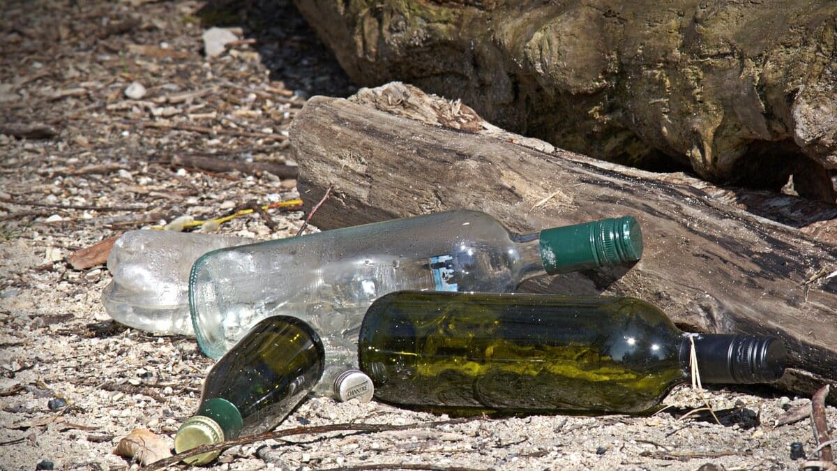 glass, bottles, garbage, disposal, environment, nature, waste disposal, waste, throw away society, made, recycling, environmental pollution, beverages, environmental protection-1268976.jpg