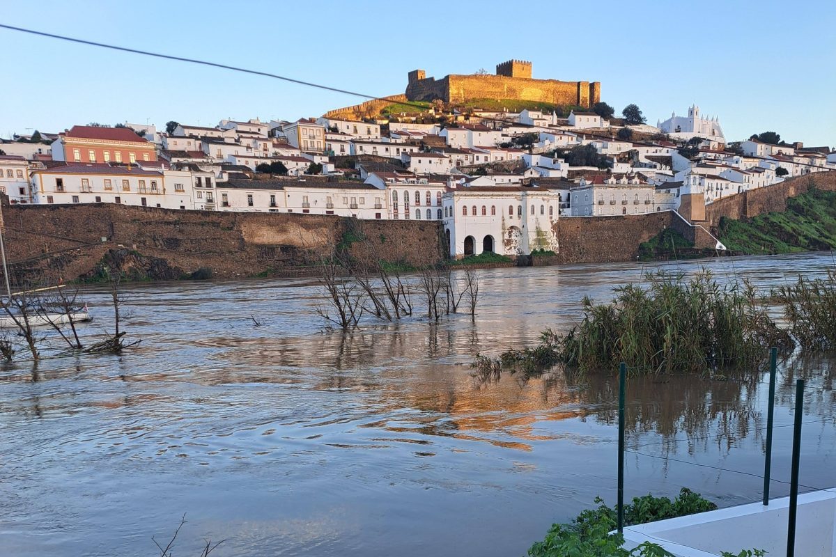AMM Mértola Informação - Autor