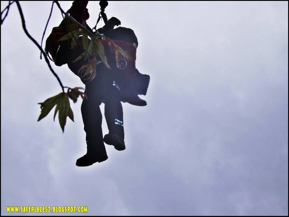 FB_IMG_1770247555873